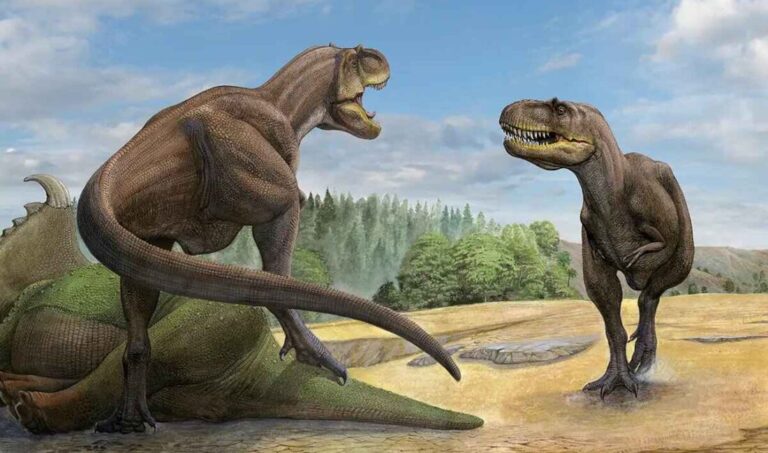 2 dinosaur staring each other