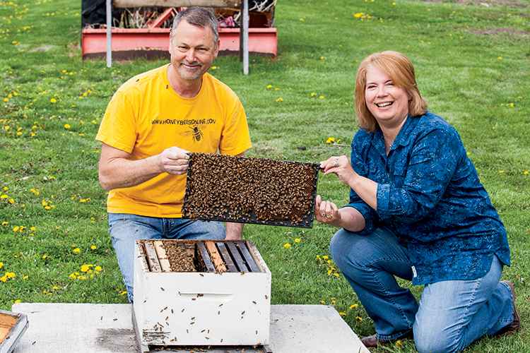 Couple farming honey bee